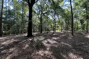 3852 Poor Robin Rd, Sylvania, GA 30467 - Photo 18