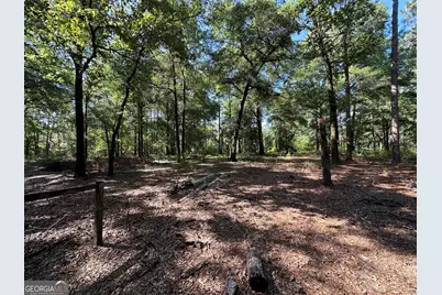 3852 Poor Robin Road, Sylvania, GA 30467 - Photo 22