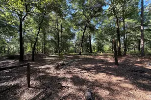 3852 Poor Robin Rd, Sylvania, GA 30467 - Photo 22