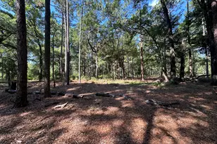3852 Poor Robin Rd, Sylvania, GA 30467 - Photo 20