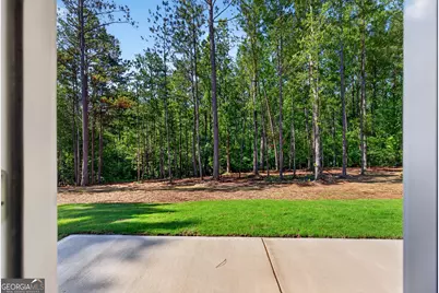 242 Glavine St, Greenville, GA 30222 - Photo 6