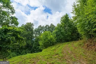 235 Rios Dr, Bryson City, NC 28713 - Photo 20
