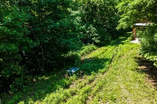 235 Rios Dr, Bryson City, NC 28713 - Photo 18