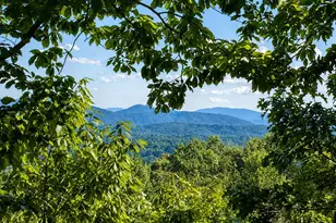 629 My Mountain Rd, Morganton, GA 30560 - Photo 2