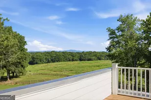 527 N Mize Rd, Mount Airy, GA 30563 - Photo 58