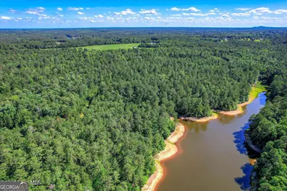0 Hwy 378 and Ann Scott Dr, Lincolnton, GA 30817 - Photo 14