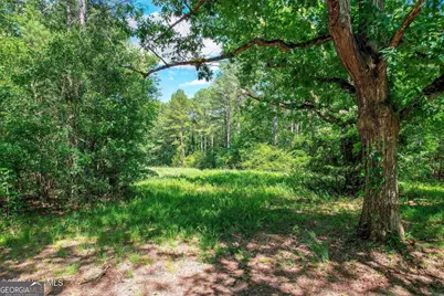 0 Hwy 378 and Ann Scott Dr, Lincolnton, GA 30817 - Photo 8
