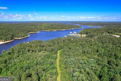 0 Hwy 378 and Ann Scott Dr, Lincolnton, GA 30817 - Photo 12