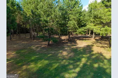 0 Hair Lake Road, Summerville, GA 30747 - Photo 26