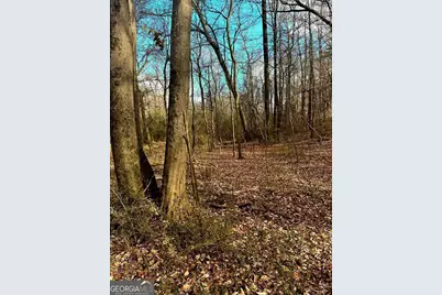 0 Maxham Road, Austell, GA 30168 - Photo 1