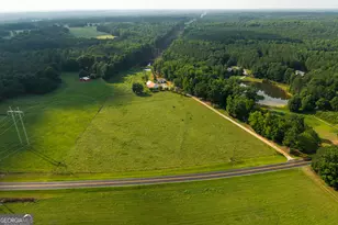 1441 Dickson Rd, Rutledge, GA 30663 - Photo 48