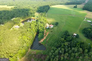1441 Dickson Rd, Rutledge, GA 30663 - Photo 34
