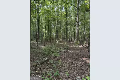 0 Beaverdam Road, Winterville, GA 30683 - Photo 1