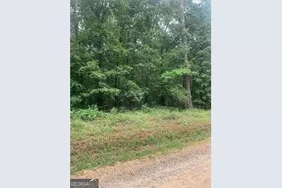 5.008 Ac Digby Rd #TRACT II, Covington, GA 30014 - Photo 4