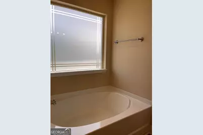 2651 Lovejoy Crossing Lane, Hampton, GA 30228 - Photo 20
