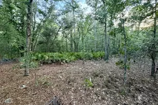 1208 Hillside, Claxton, GA 31401 - Photo 1
