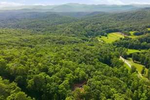 3014 Oakey Mountain Rd, Clarkesville, GA 30523 - Photo 42
