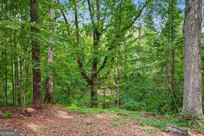 351 Teamon Road, Griffin, GA 30223 - Photo 50
