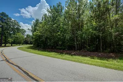 0 Overland Trail, Sharpsburg, GA 30277 - Photo 6