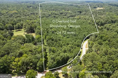 0 Overland Trail, Sharpsburg, GA 30277 - Photo 1