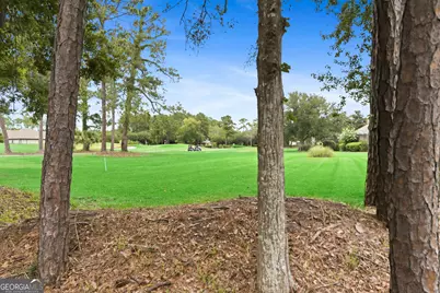 5 Sandhill Crane Drive, Saint Marys, GA 31558 - Photo 28