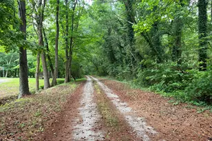 1108 Cave Springs Rd, Douglasville, GA 30134 - Photo 1