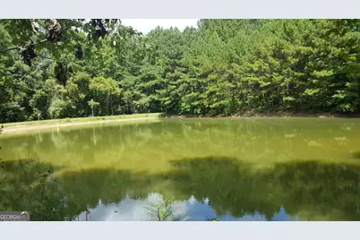 260 Lamar Smith Drive, Newnan, GA 30263 - Photo 4