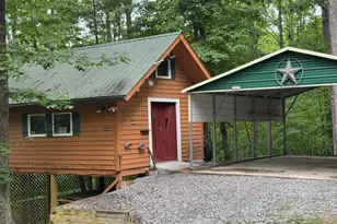 290 Ruby Ln, Ellijay, GA 30540 - Photo 26
