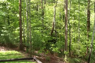 290 Ruby Ln, Ellijay, GA 30540 - Photo 28