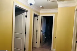 246 Thyme Leaf Way, Locust Grove, GA 30248 - Photo 48