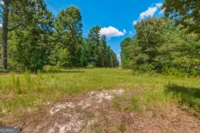 3431 Syrup Mill Crossing, Greensboro, GA 30642 - Photo 10