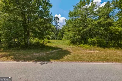 3431 Syrup Mill Crossing, Greensboro, GA 30642 - Photo 6
