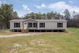 153 Brushy Creek Rd, Hortense, GA 31543 - Photo 1