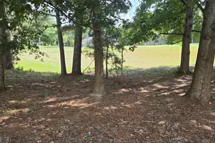 9602 Coastal Pointe Dr, Villa Rica, GA 30180 - Photo 14