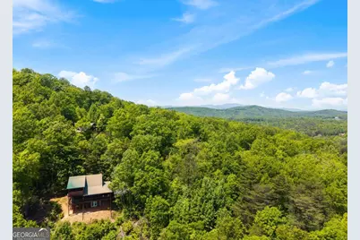 161 Huntington Way #8, Blue Ridge, GA 30513 - Photo 60