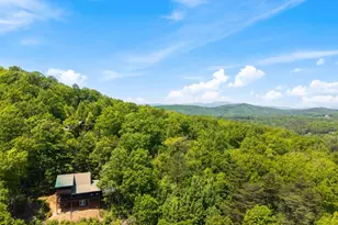 161 Huntington Way, Blue Ridge, GA 30513 - Photo 60