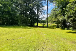 115 Baird, Cohutta, GA 30710 - Photo 2