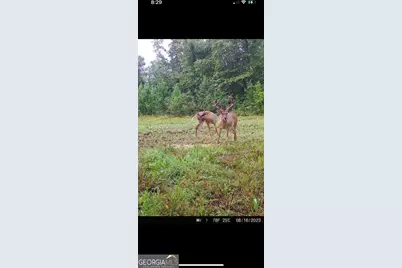 0 Highway 17, Midville, GA 30441 - Photo 28
