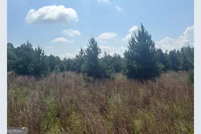 0 Highway 17, Midville, GA 30441 - Photo 36