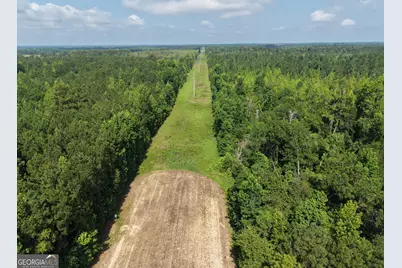 0 Highway 17, Midville, GA 30441 - Photo 6