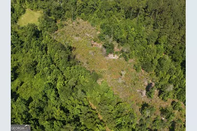 0 Highway 17, Midville, GA 30441 - Photo 12