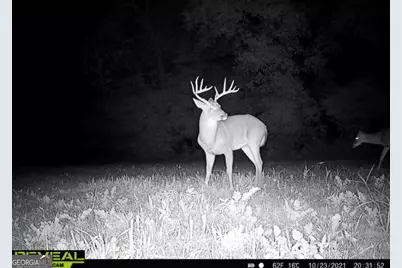 0 Highway 17, Midville, GA 30441 - Photo 32