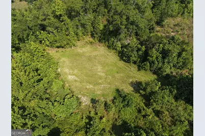 0 Highway 17, Midville, GA 30441 - Photo 2