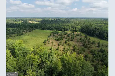 0 Highway 17, Midville, GA 30441 - Photo 1