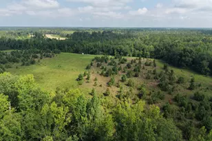 0 Hwy 17, Midville, GA 30441 - Photo 1