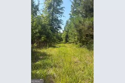 0 Highway 17, Midville, GA 30441 - Photo 38