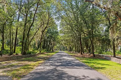 Lot 42 St Joseph's Point, Darien, GA 31305 - Photo 14