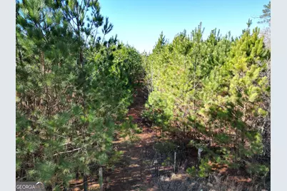 0 Jaudon Road #(30.03 ACRE LOT), Elberton, GA 30635 - Photo 1