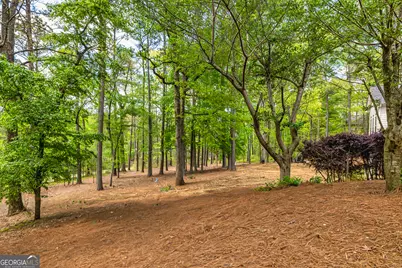 20 Jasmine Court, Newnan, GA 30265 - Photo 50