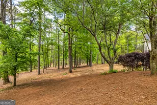 20 Jasmine Ct, Newnan, GA 30265 - Photo 50